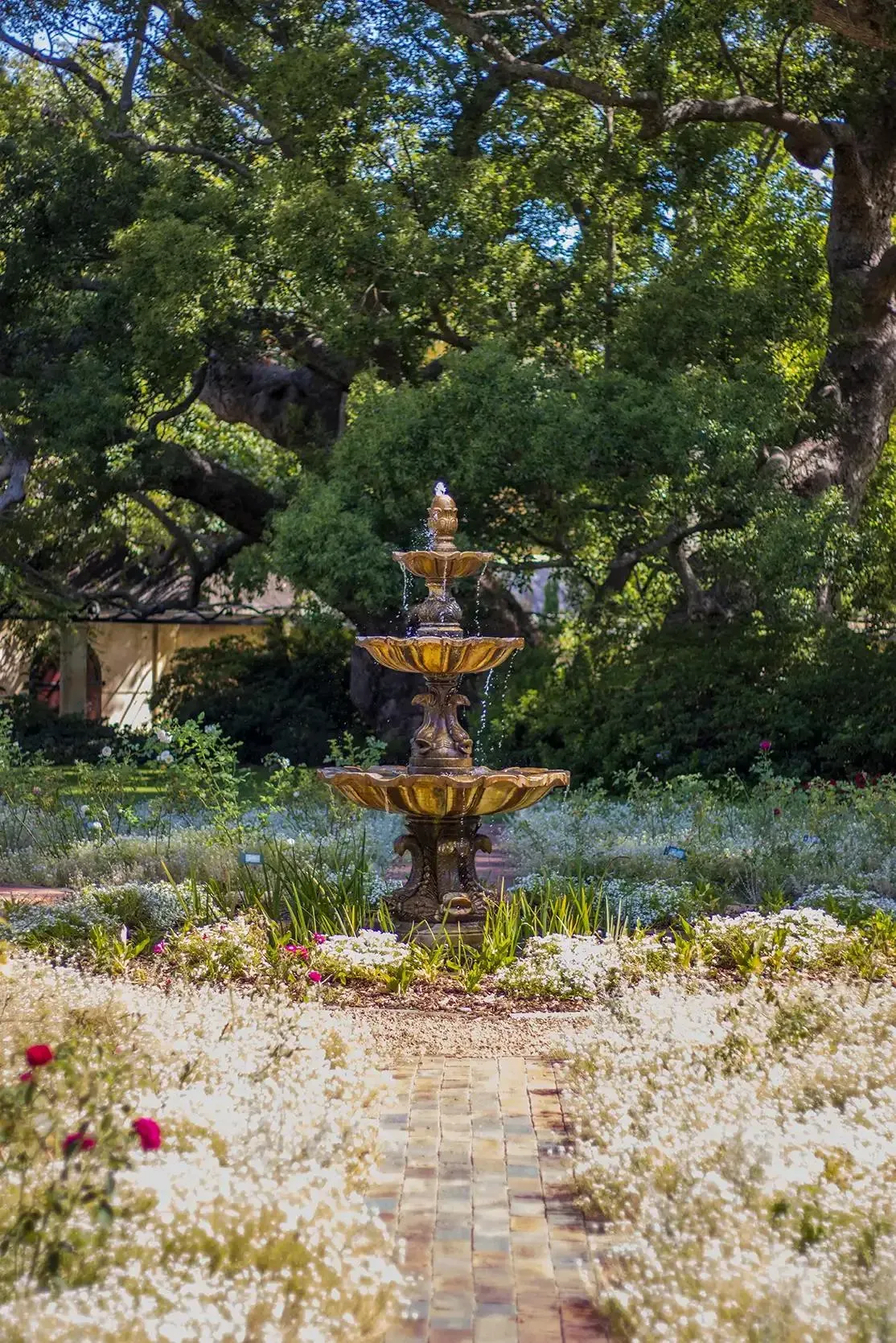 Photograph from Vergelegen Wine Estate: A Guide to its Grounds and Gardens