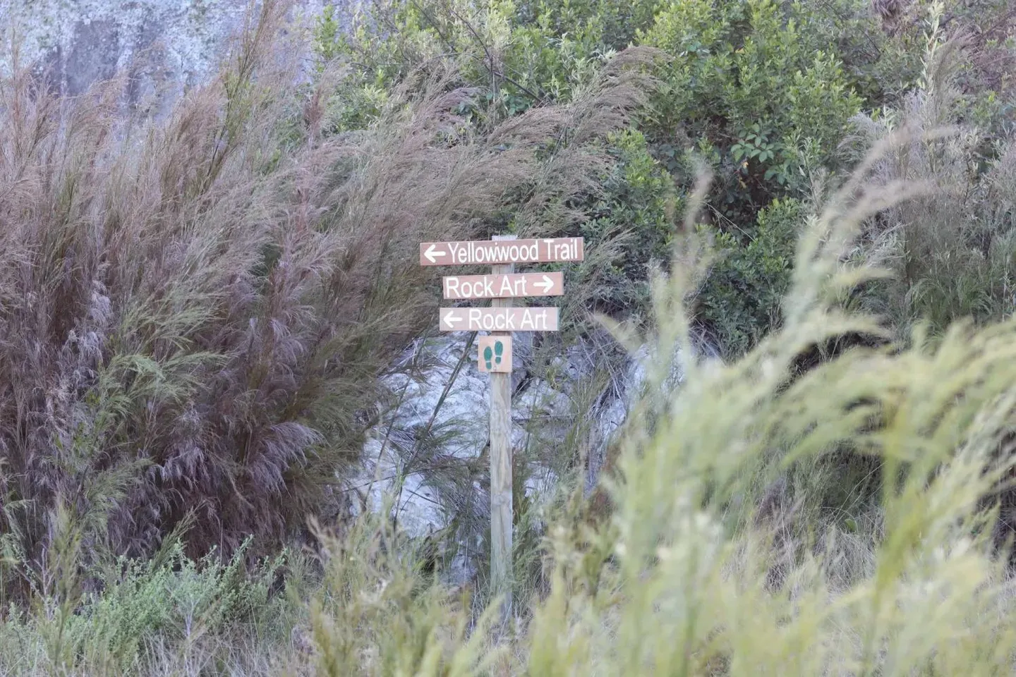 Photograph from Retreat Guest Farm: A Weekend in Piket-Bo-Berg