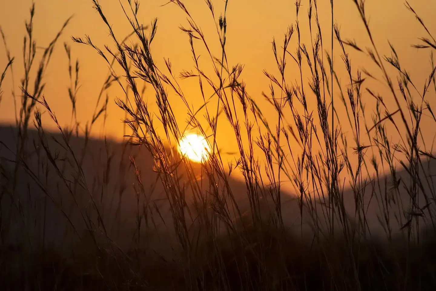 Photograph from A Kruger Adventure: 24 hours at Berg-en-Dal Rest Camp