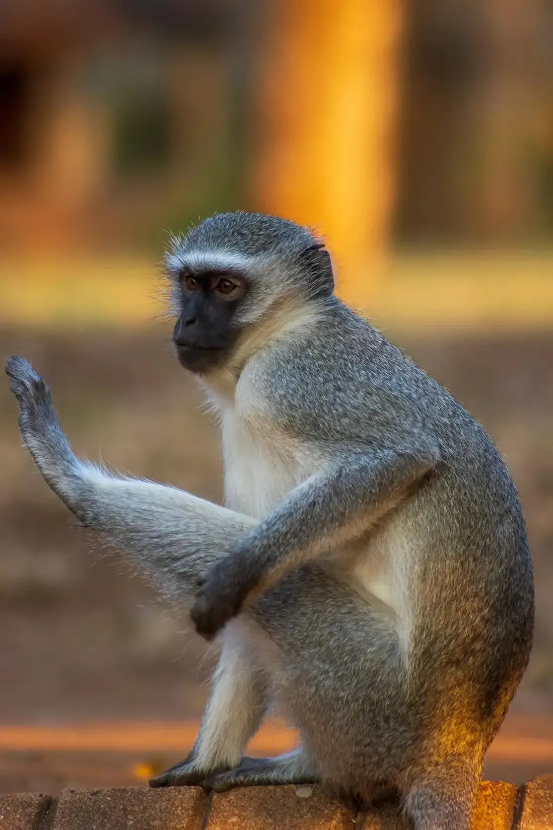 Photograph from A Kruger Adventure: Satara Rest Camp