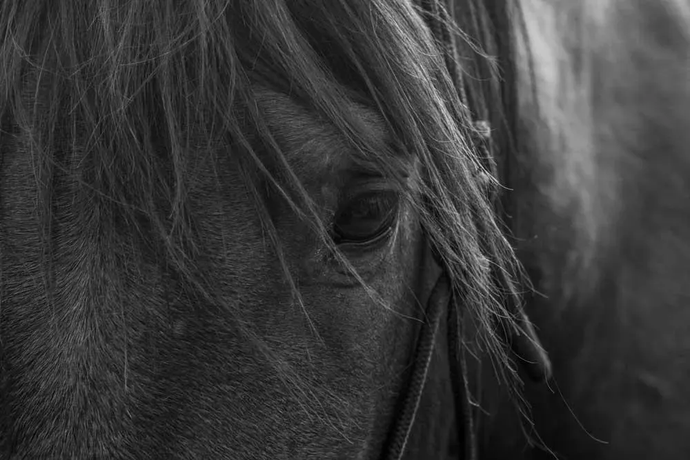 Old Soul