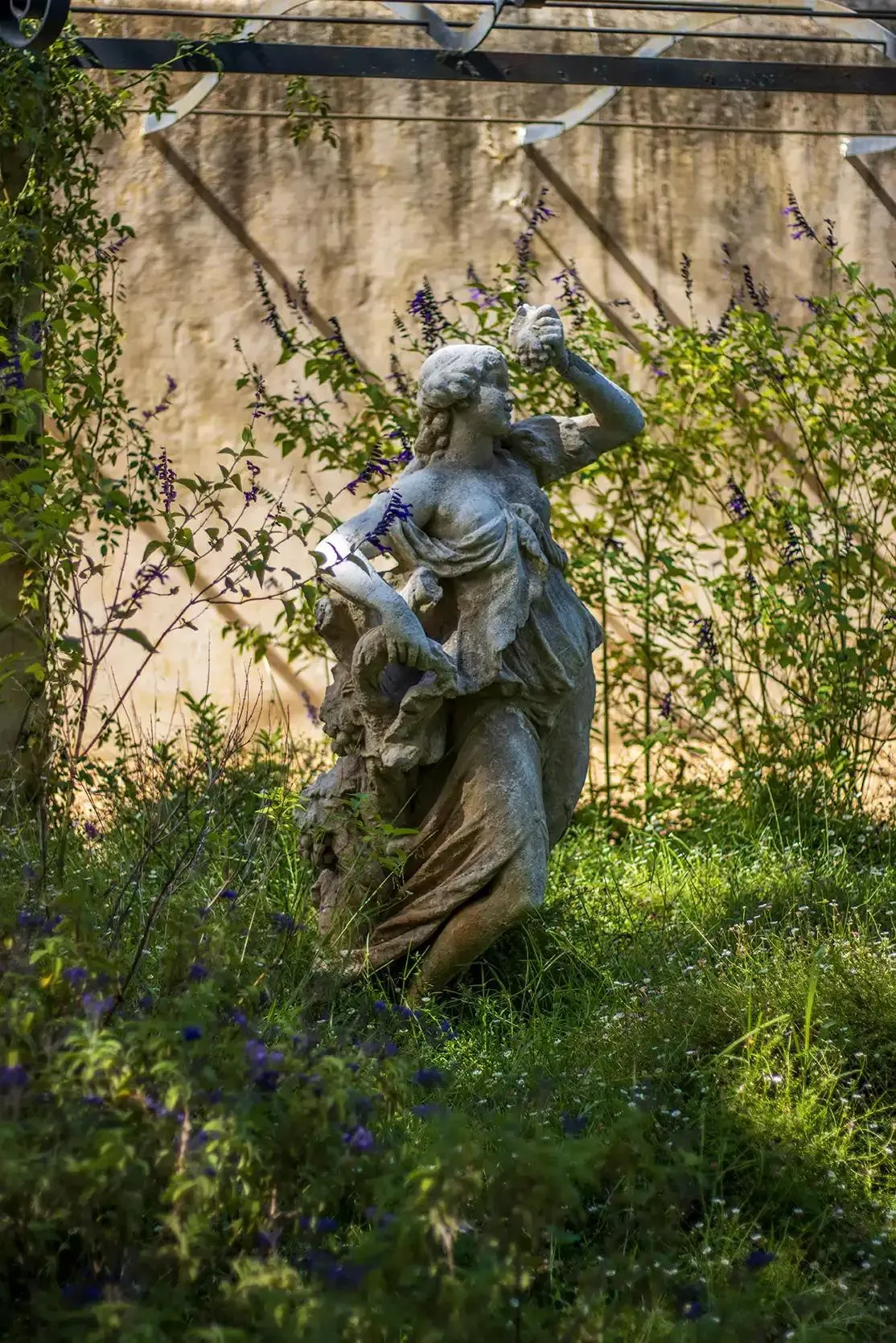 Photograph from Vergelegen Wine Estate: A Guide to its Grounds and Gardens