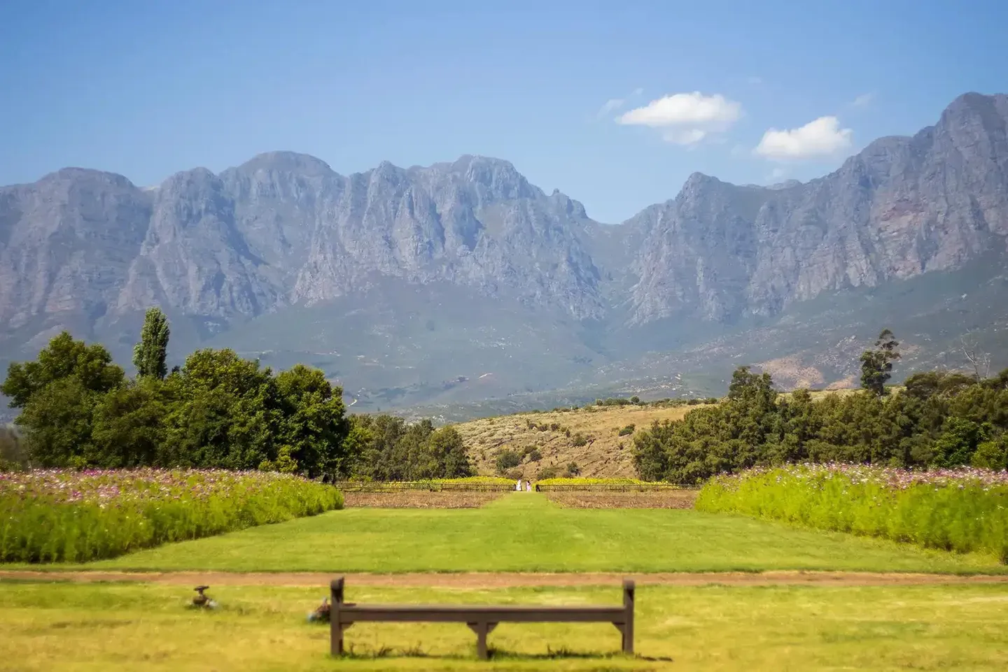 Photograph from Vergelegen Wine Estate: A Guide to its Grounds and Gardens