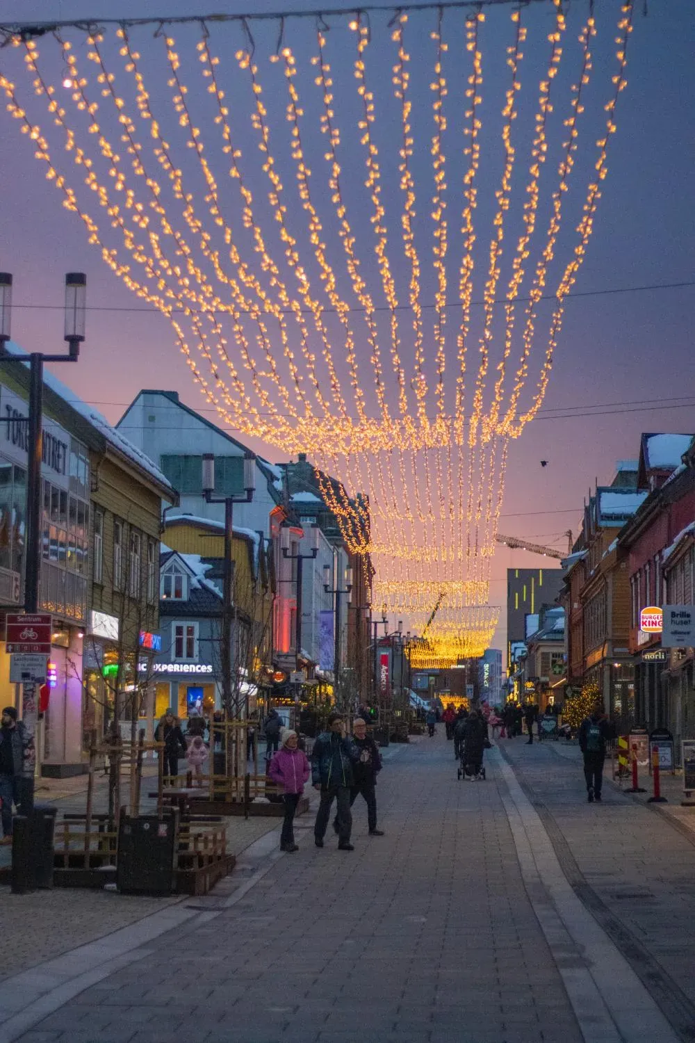 Photograph from Whales, Waves & Winter Lights: A Tromsø Travel Guide