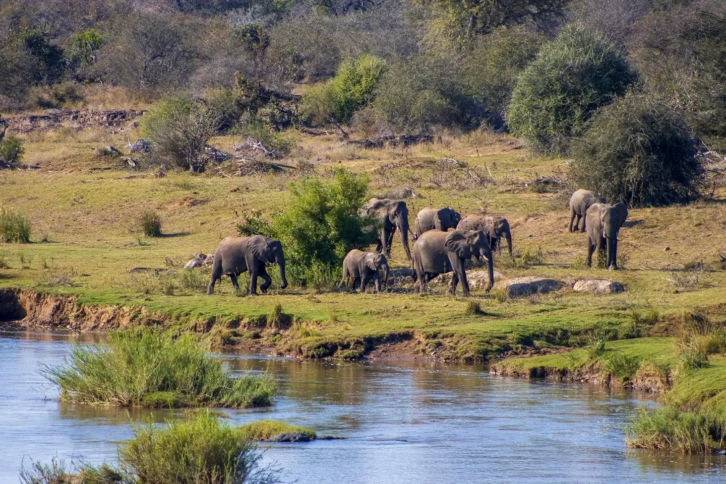 Photograph from A Kruger Adventure: Satara Rest Camp