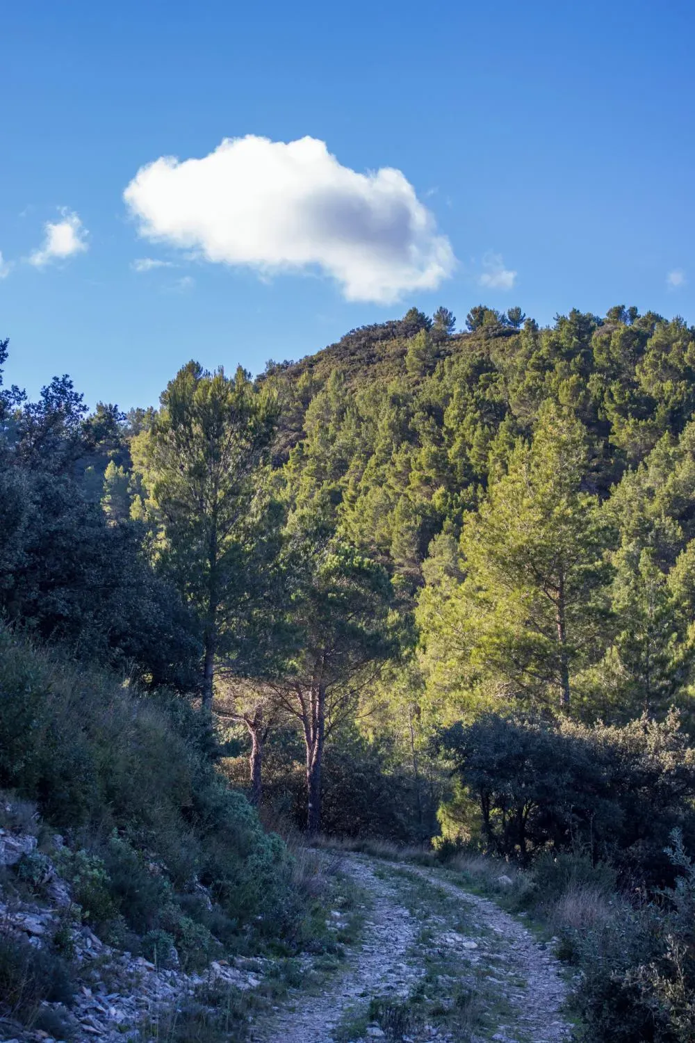 Photograph from A Day in Les Baux-de-Provence: Monet, Medieval Streets & Alpine Trails