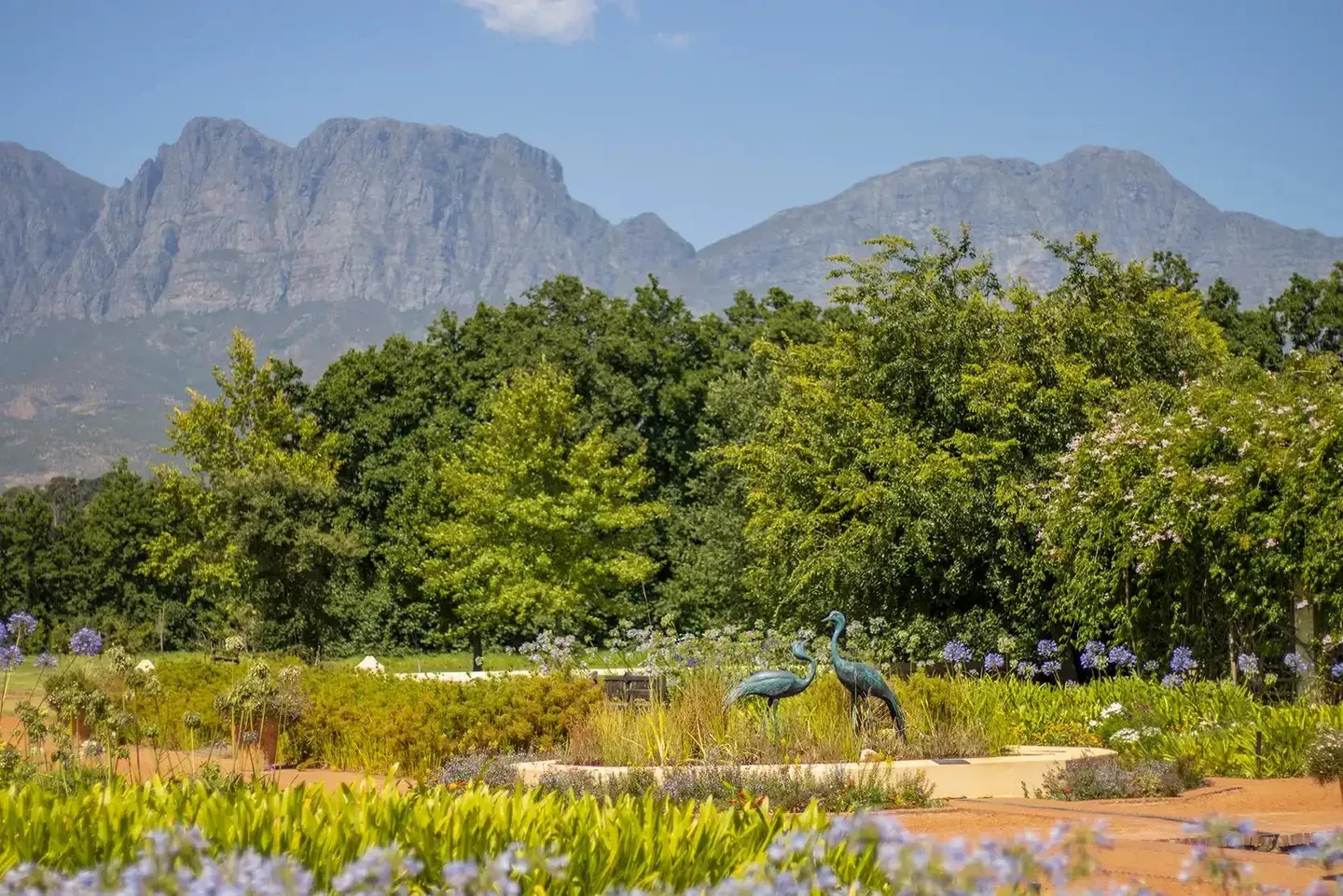 Photograph from Vergelegen Wine Estate: A Guide to its Grounds and Gardens