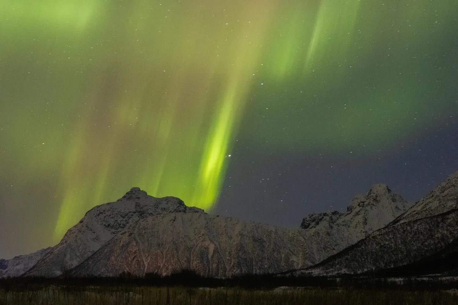 Aurora Curtain
