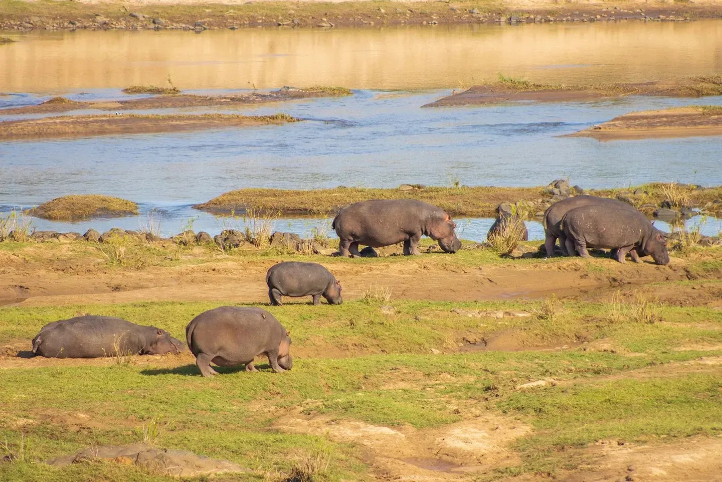 Photograph from A Kruger Adventure: Satara Rest Camp