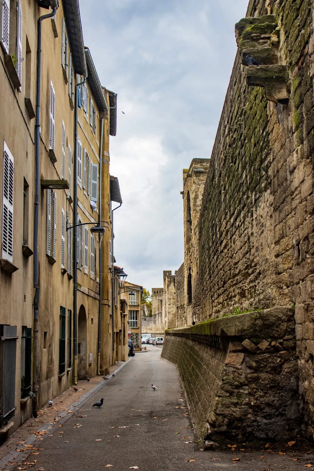 Photograph from A Flânerie through Avignon