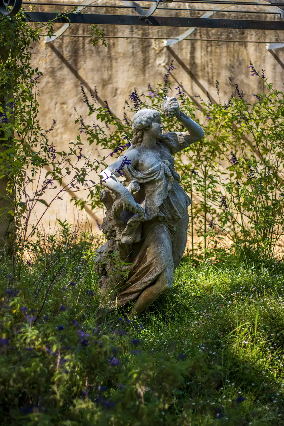 Photograph from Vergelegen Wine Estate: A Guide to its Grounds and Gardens