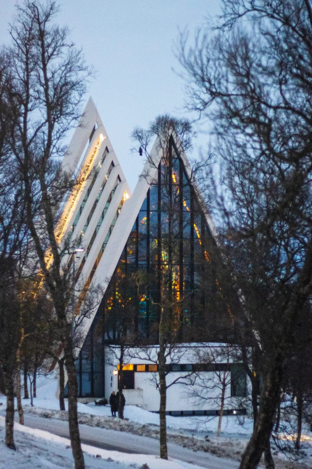 Photograph from Whales, Waves & Winter Lights: A Tromsø Travel Guide