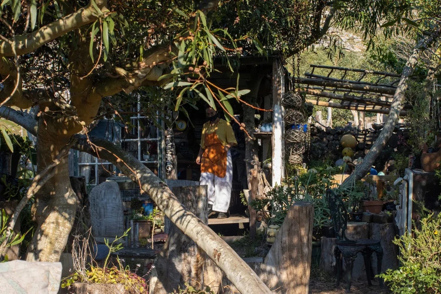 Photograph from Simply Superb: The Scone Shack