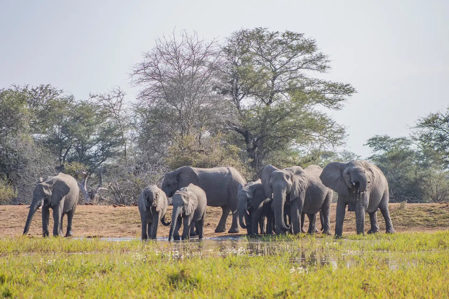 Photograph from A Kruger Adventure: 24 hours at Berg-en-Dal Rest Camp