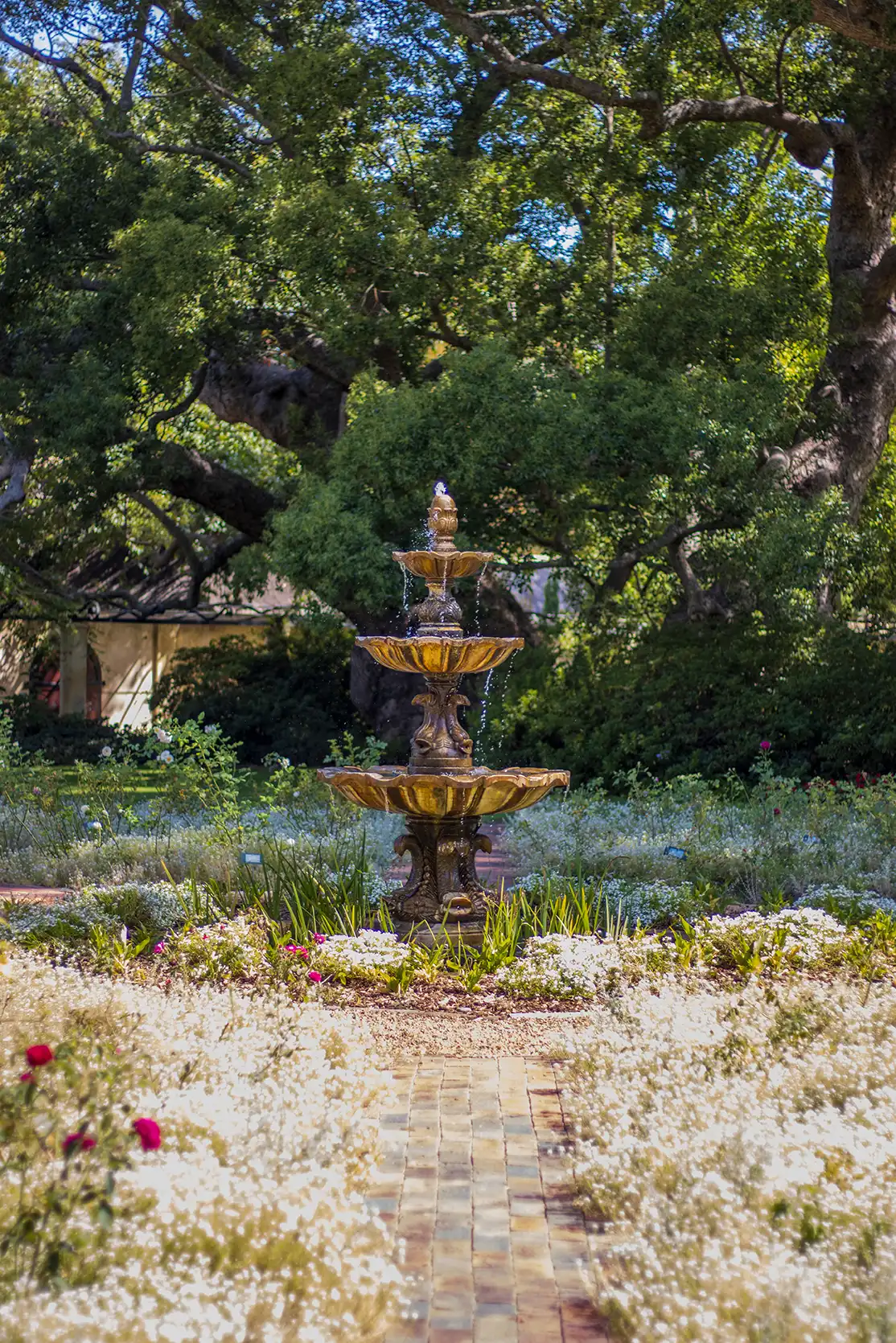Photograph from Vergelegen Wine Estate: A Guide to its Grounds and Gardens