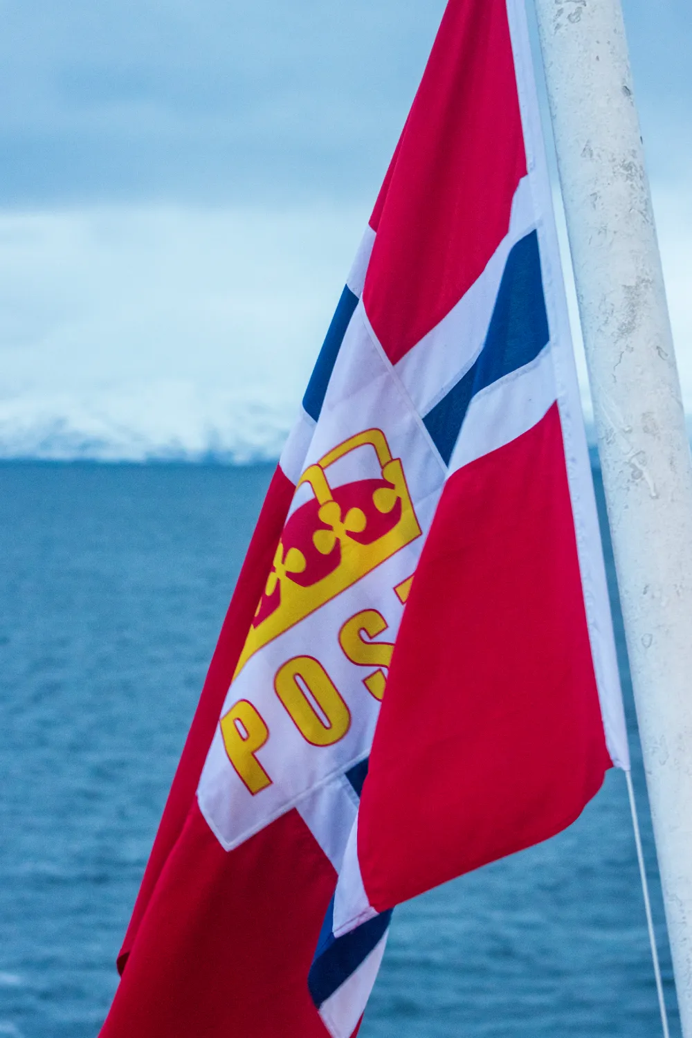 Photograph from Whales, Waves & Winter Lights: A Tromsø Travel Guide