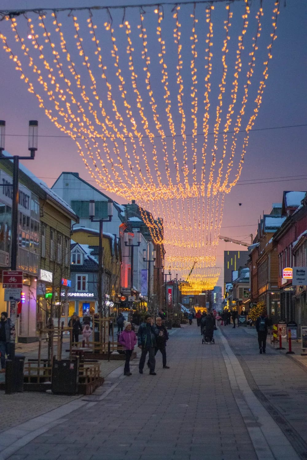 Photograph from Whales, Waves & Winter Lights: A Tromsø Travel Guide