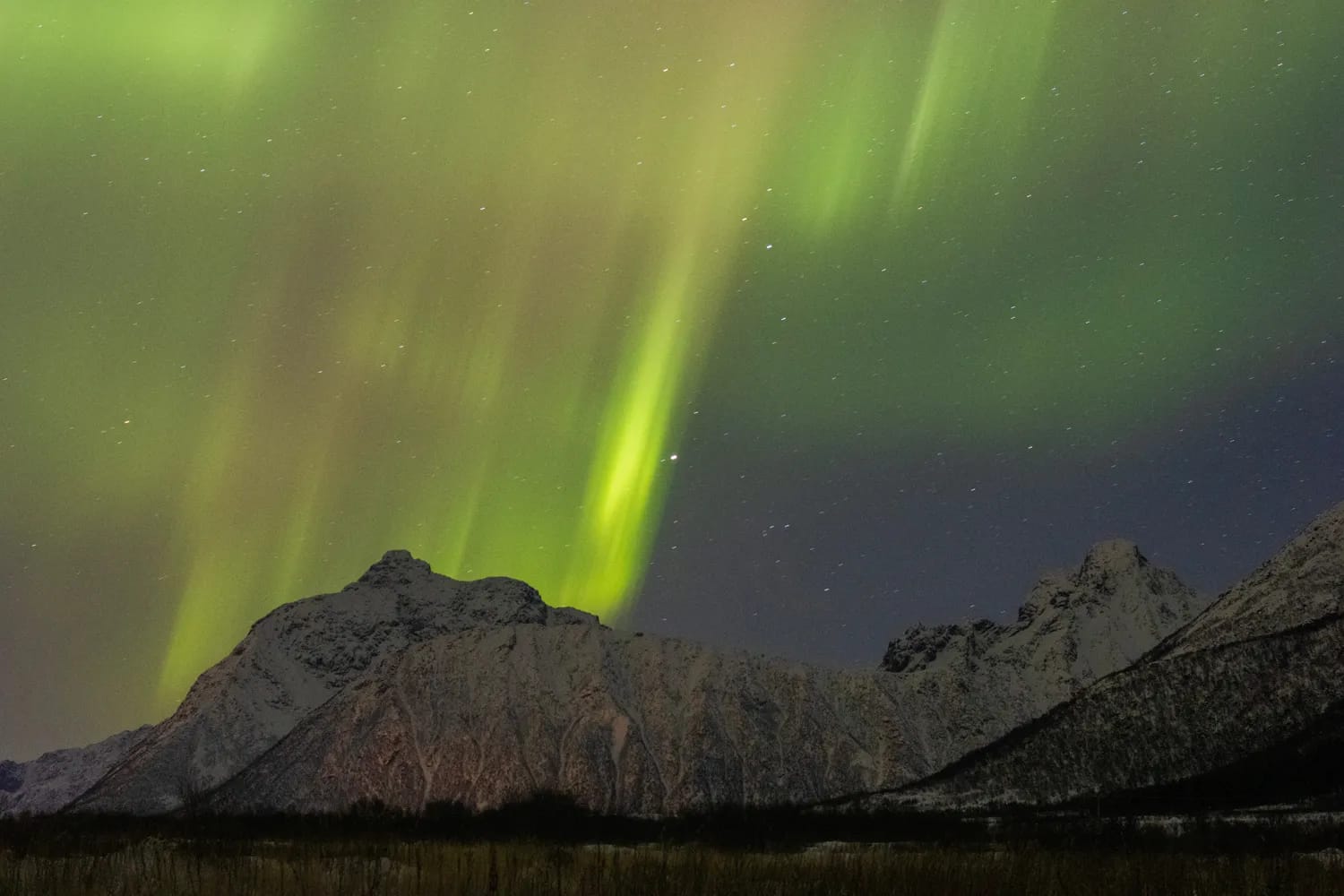 Photograph from Love Letter to Lofoten: A Svolvaer Travel Guide