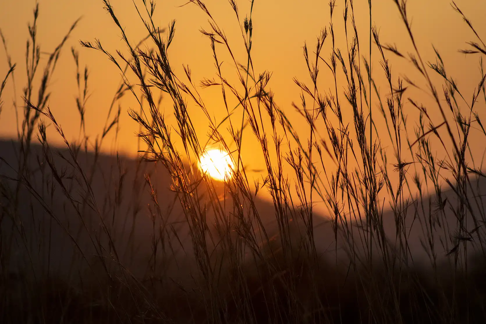 Photograph from A Kruger Adventure: 24 hours at Berg-en-Dal Rest Camp