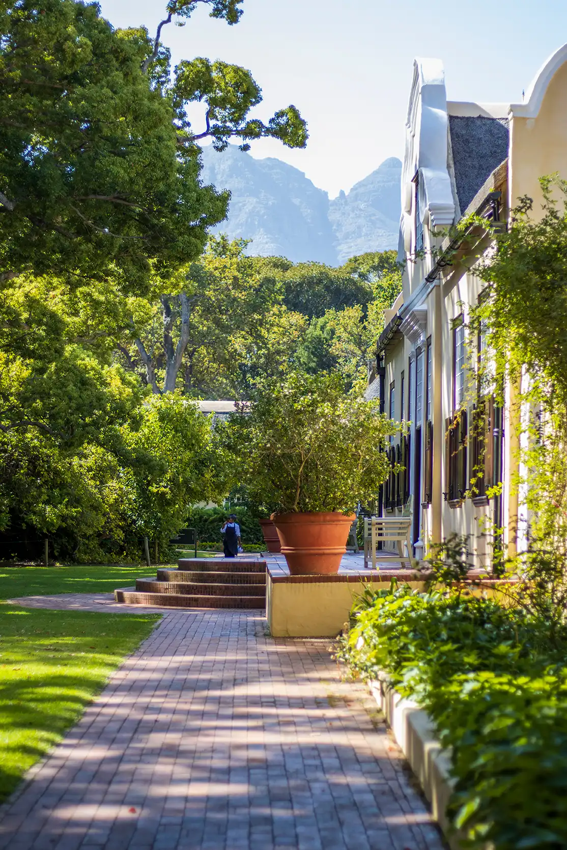 Photograph from Vergelegen Wine Estate: A Guide to its Grounds and Gardens