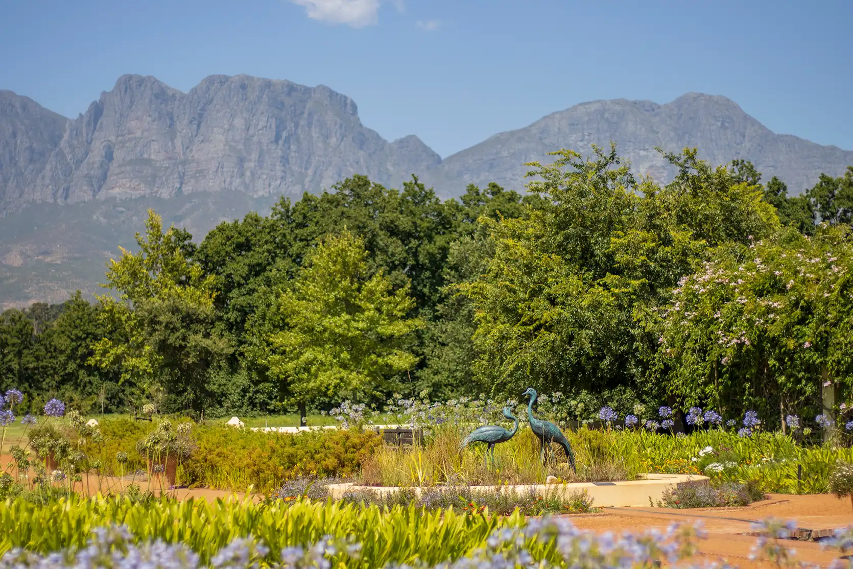 Photograph from Vergelegen Wine Estate: A Guide to its Grounds and Gardens