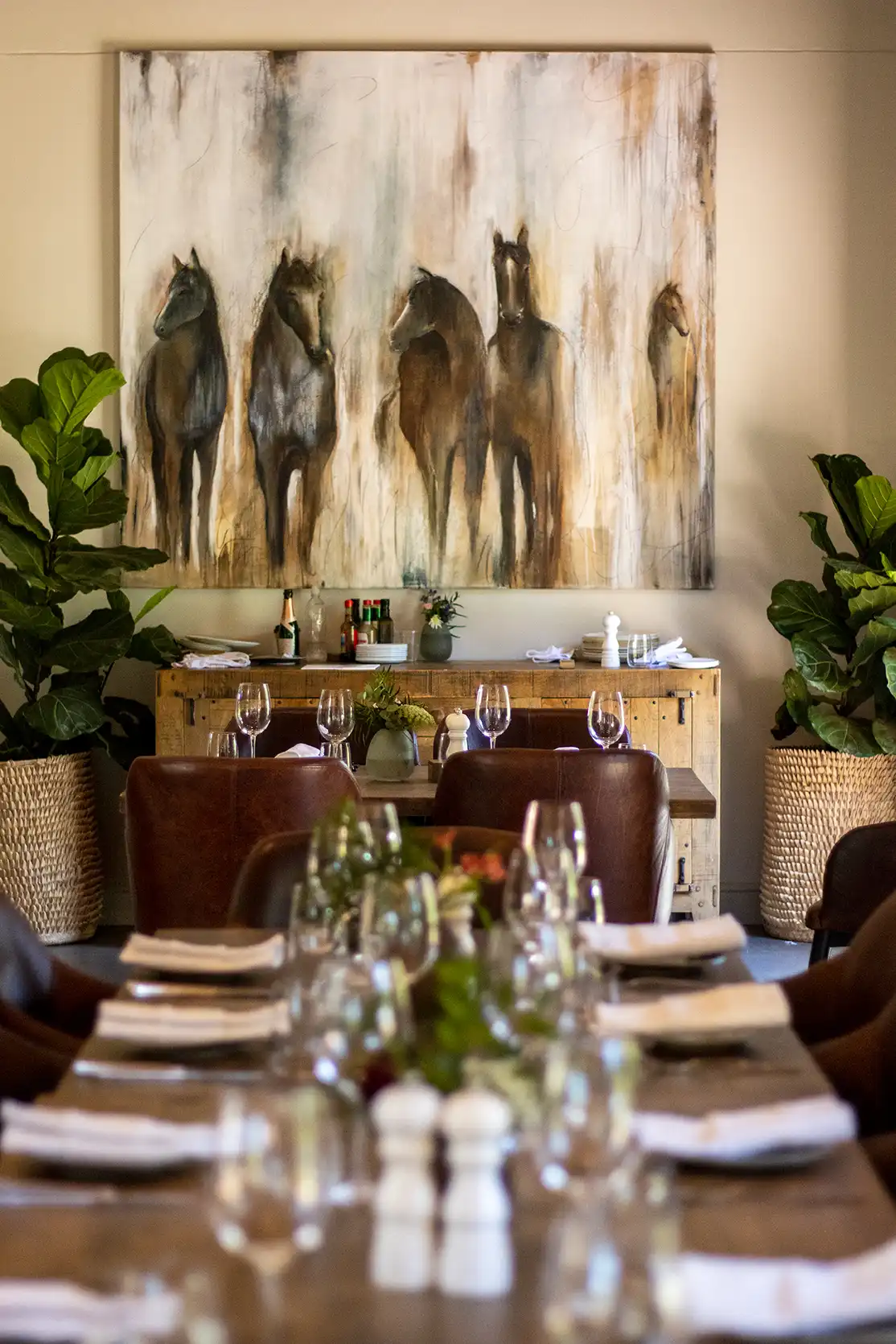 Photograph from Vergelegen Wine Estate: A Guide to its Grounds and Gardens