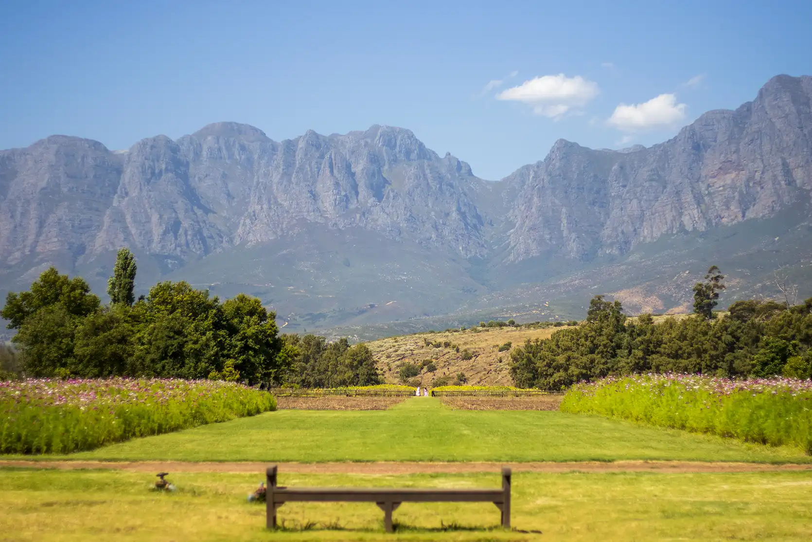 Photograph from Vergelegen Wine Estate: A Guide to its Grounds and Gardens